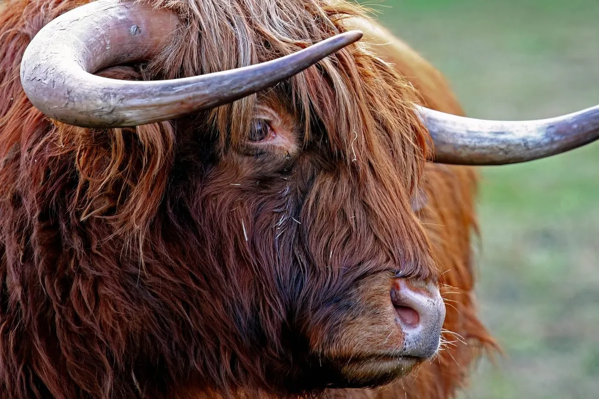 Winter Adventure Checklist for the Scottish Highlands